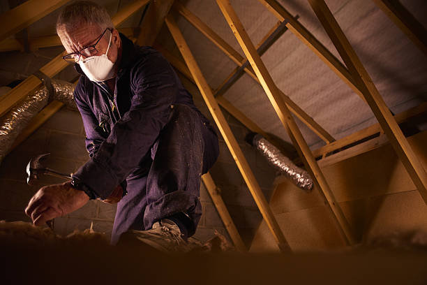 Best Residential Insulation in New Cassel, NY